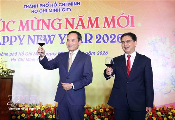 胡志明市领导会见外国驻该市机构代表