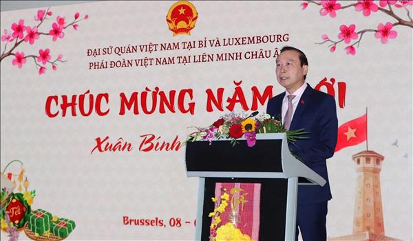 Xuân Bính Ngọ 2026: Mang hơi ấm mùa Xuân quê hương đến với kiều bào tại Bỉ