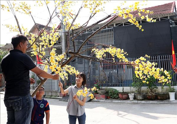 Từ Chiến dịch Quang Trung đến mùa Xuân no ấm