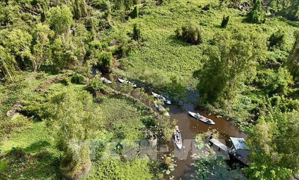 Forest databases for EUDR implementation to be completed in 2026