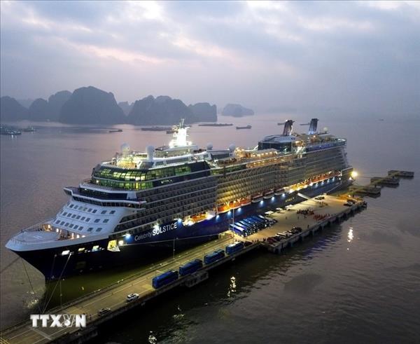 Quang Ninh expects surge in international cruise arrivals during Tet