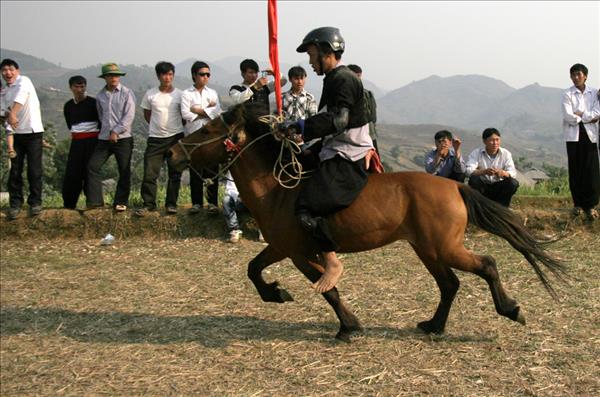 Vietnams Horse Racing Festivals: Unique Folk Sporting Tradition
