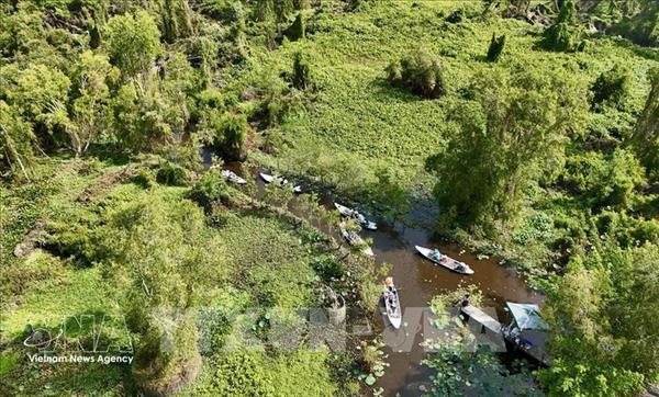 Bois : le Vietnam sadapte aux exigences de lEUDR européen