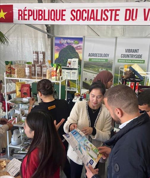 Hội chợ mùa Xuân 2026: Cơ hội giao thương giữa Việt Nam và Maroc