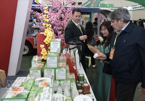 2026年春季博览会：国际游客对富有特色和充满活力的越南印象深刻