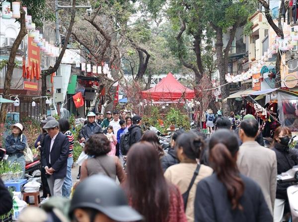 Le printemps arrive sur un air dantan au marché aux fleurs de Hang Luoc