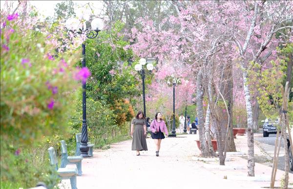 Thời tiết các điểm nóng du lịch dịp 30/4 và 1/5: Sapa, Hạ Long, Đà Nẵng, Đà Lạt