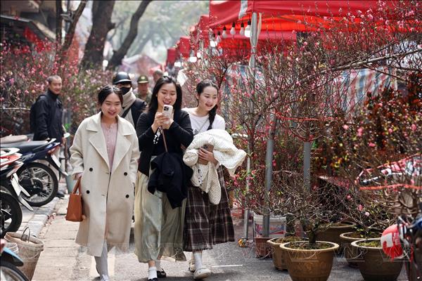 Chợ hoa Hàng Lược – Sắc Tết giữa lòng phố cổ Hà Nội