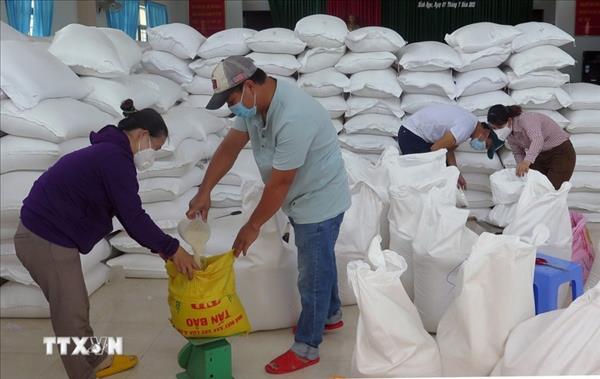 Over 14,660 tonnes of rice allocated to localities during Tet, between-crop period