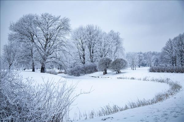 Latvia ghi nhận lớp tuyết dày nhất trong hơn một thập kỷ do bão tuyết - Hàng không Pháp cắt giảm chuyến bay