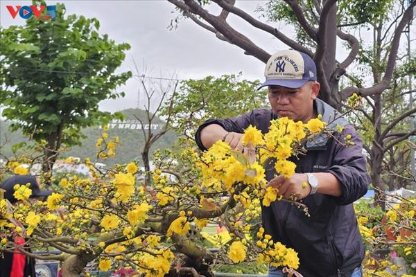 各地で旧正月の催し始まる 伝統文化にぎわう