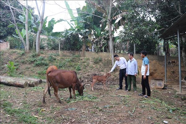 Xuân mới trên những bản làng vùng cao