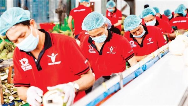 Le Vietnam doit réduire sa dépendance aux matières premières importées