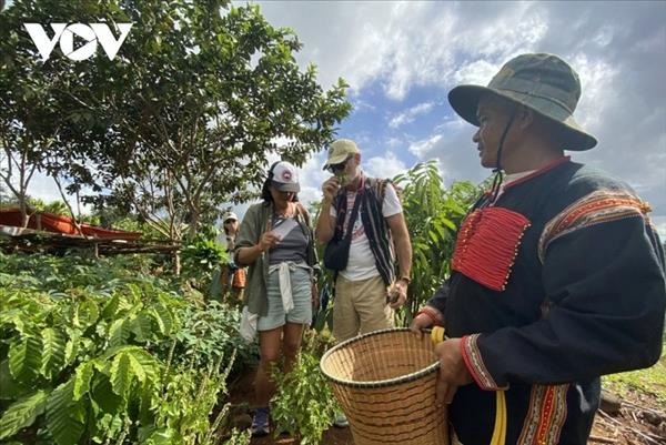 エデ族の集落を訪ねて ～母系社会に息づく伝統と観光の調和～