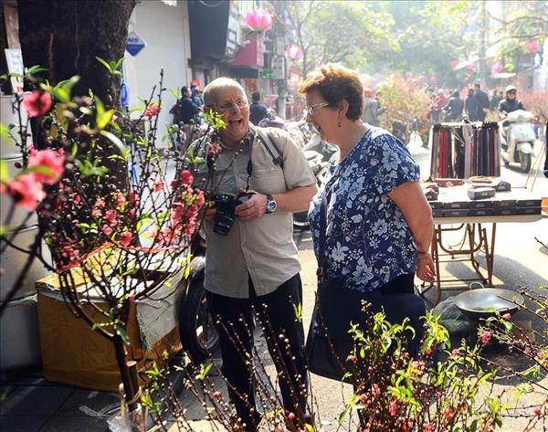 Không khí Tết Hà Thành ở Chợ hoa Hàng Lược 