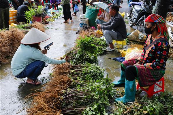 Công nghệ số cõng sinh kế tới vùng cao