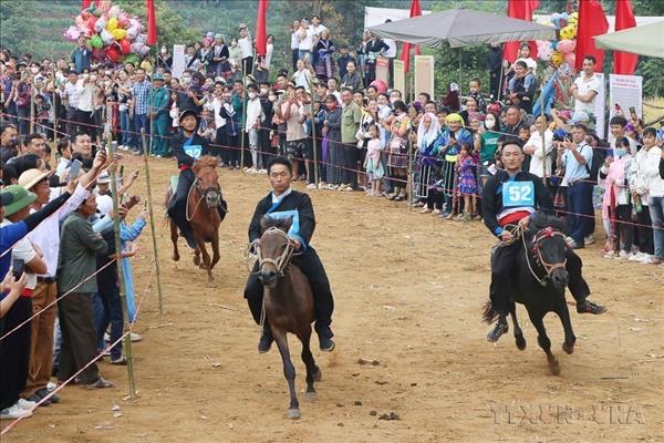 Vietnams horse racing festivals: Unique folk sporting tradition