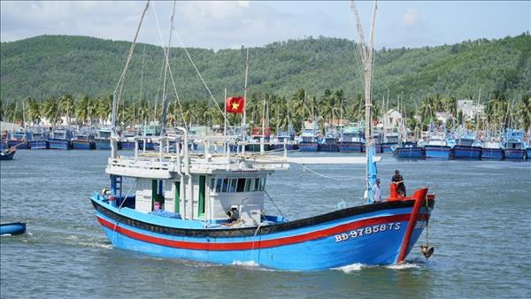 Ngư dân ra khơi chờ mong một vụ mùa bội thu