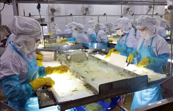 작년 가계 생활 수준, 안정세...올해도 지속 향상 추진