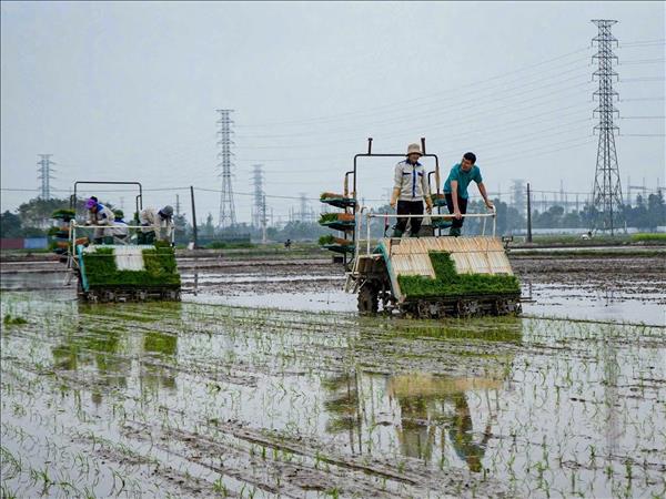 Nông dân tranh thủ thời tiết thuận lợi ra đồng sản xuất đầu Xuân
