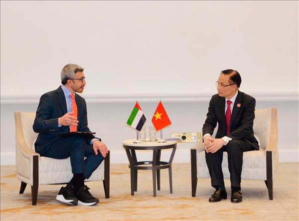 Canciller de Vietnam se reúne con sus homólogos de Emiratos Árabes Unidos, Egipto y Turquía