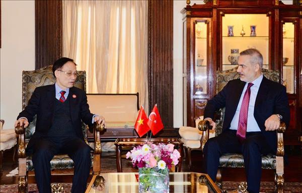 Bộ trưởng Ngoại giao Lê Hoài Trung gặp Bộ trưởng Ngoại giao các nước UAE, Ai Cập và Thổ Nhĩ Kỳ