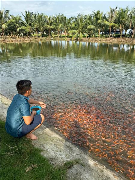 Nông nghiệp tuần hoàn, hướng đi bền vững cho nông thôn Hải Phòng