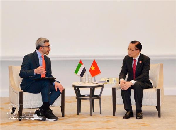 Vietnamese FM meets counterparts of UAE, Egypt and Türkiye