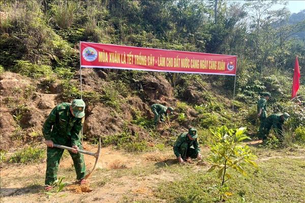 Quảng Trị: Bộ đội Biên phòng lan tỏa phong trào Tết trồng cây trên hai tuyến biên giới