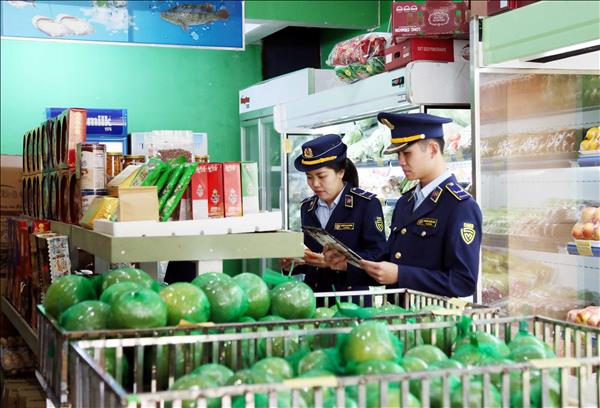 2026年经济普查：做到压缩进度保证质量两手抓两手硬