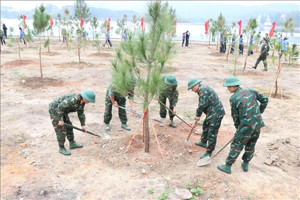 Hải Phòng, Quảng Ninh trồng cây mùa Xuân, nhớ ơn Bác Hồ
