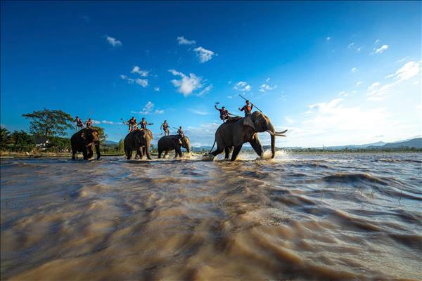 新春年味浓 林海迎客旺