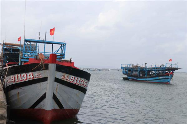 Da Nang accelerates fishing fleet overhaul to shed EUs yellow card