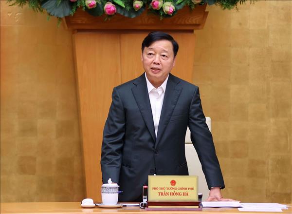 Rà soát, đánh giá toàn diện việc thực hiện các nhiệm vụ chống khai thác IUU