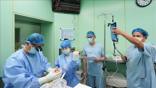 Bé gái được ghép tim, hồi sinh ngoạn mục trong những ngày đầu Xuân