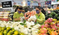 ベトナム産青果物のEU向け輸出、4年で3倍に急増