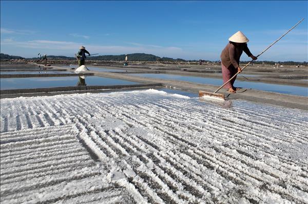 Trăm năm nghề muối Sa Huỳnh