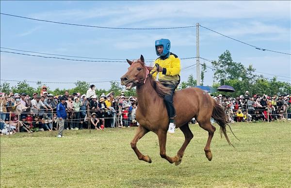Kỵ mã thồ hàng tham gia tranh tài Hội đua ngựa truyền thống gò Thì Thùng