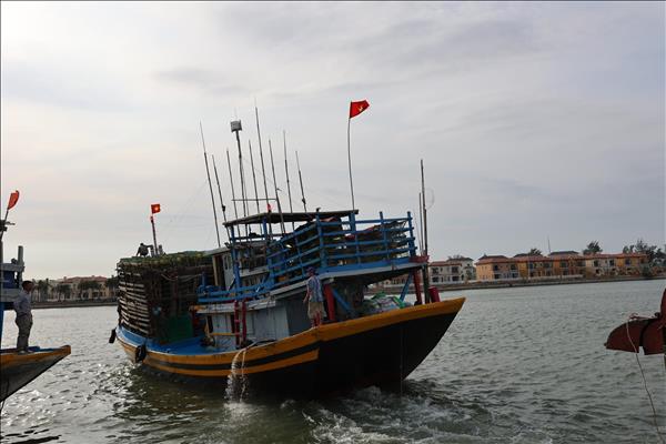 Vietnam intensifies efforts to have ECs yellow card on seafood exports lifted