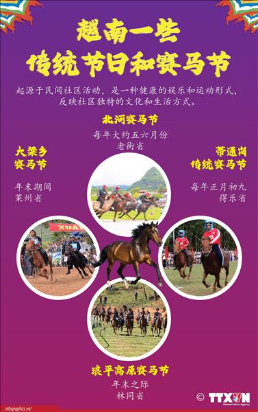越南一些传统节日和赛马节