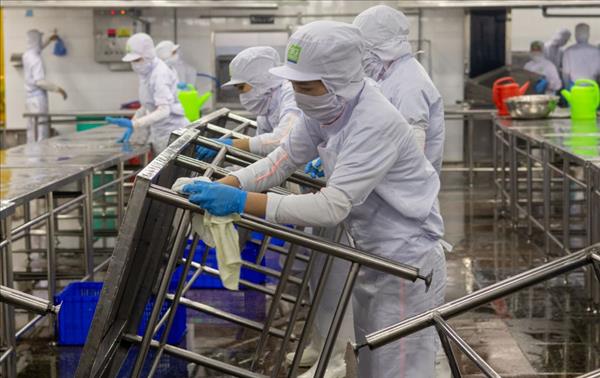 胡志明市春节后劳动力市场面临的新课题