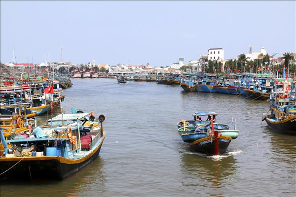 Khắc phục thẻ vàng IUU: Rộn ràng xuất bến đầu năm, bám biển​ giữ ngư trường