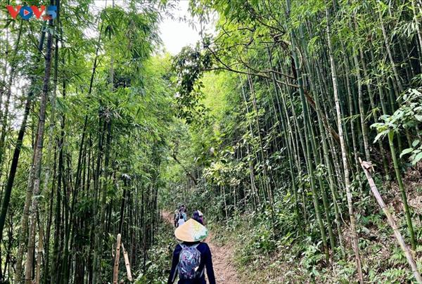 山沿いのルートで巡るタヴァン集落の魅力