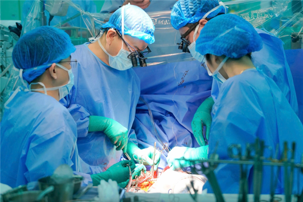 Professional excellence, dedication define Vietnams healthcare system