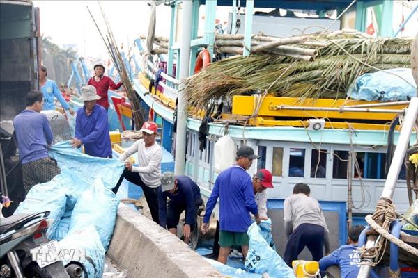 Gia Lai tightens fishing fleet management to combat IUU fishing
