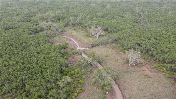 올해 공공투자 쾌조의 출발...사상 최대 규모 전망