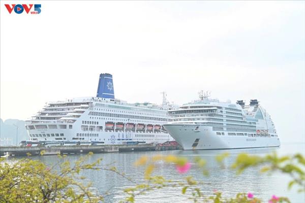 国際クルーズ船の人気寄港地であるクアンニン省