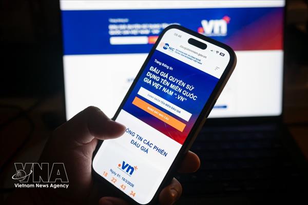 Le Vietnam lance la première vente aux enchères de noms de domaine .vn