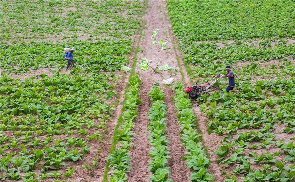 Khơi dậy tinh thần sáng tạo, khát vọng lập thân, lập nghiệp của thanh niên dân tộc thiểu số