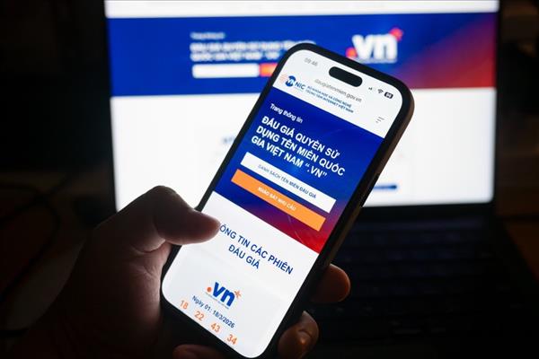 Dominios .vn de dos caracteres, poco comunes, se subastarán por primera vez